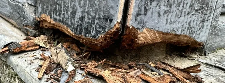 Vermolmd hout aan de voet van een houten stijl; splinters en brokken liggen op een betonnen plint