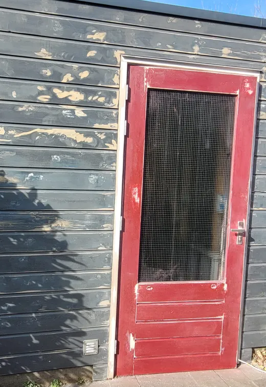 Houten schuur met donkergrijze delen waar de verf in schilfers afbladdert, met een verschoten rode deur