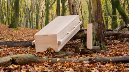 Een lichte houten kist op schragen in een bos met gevallen bladeren