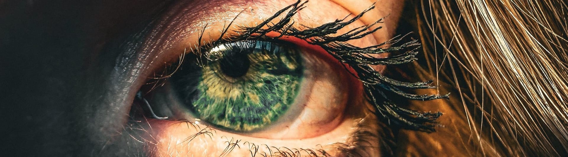 Brede uitsnede van dezelfde macrofoto: de ooghoek met de wimperlijn, over de volle breedte van het scherm.