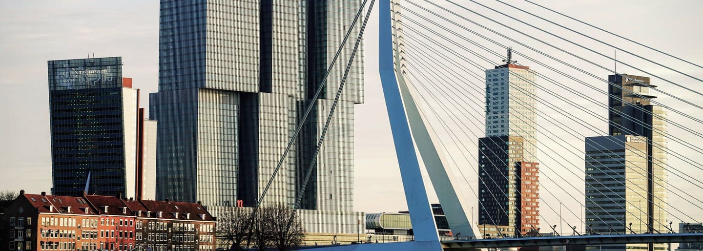 De Erasmusbrug over de Nieuwe Maas met de skyline van Rotterdam bij daglicht.