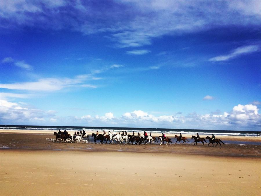 Groep ruiters met honden op het brede strand onder een blauwe lucht