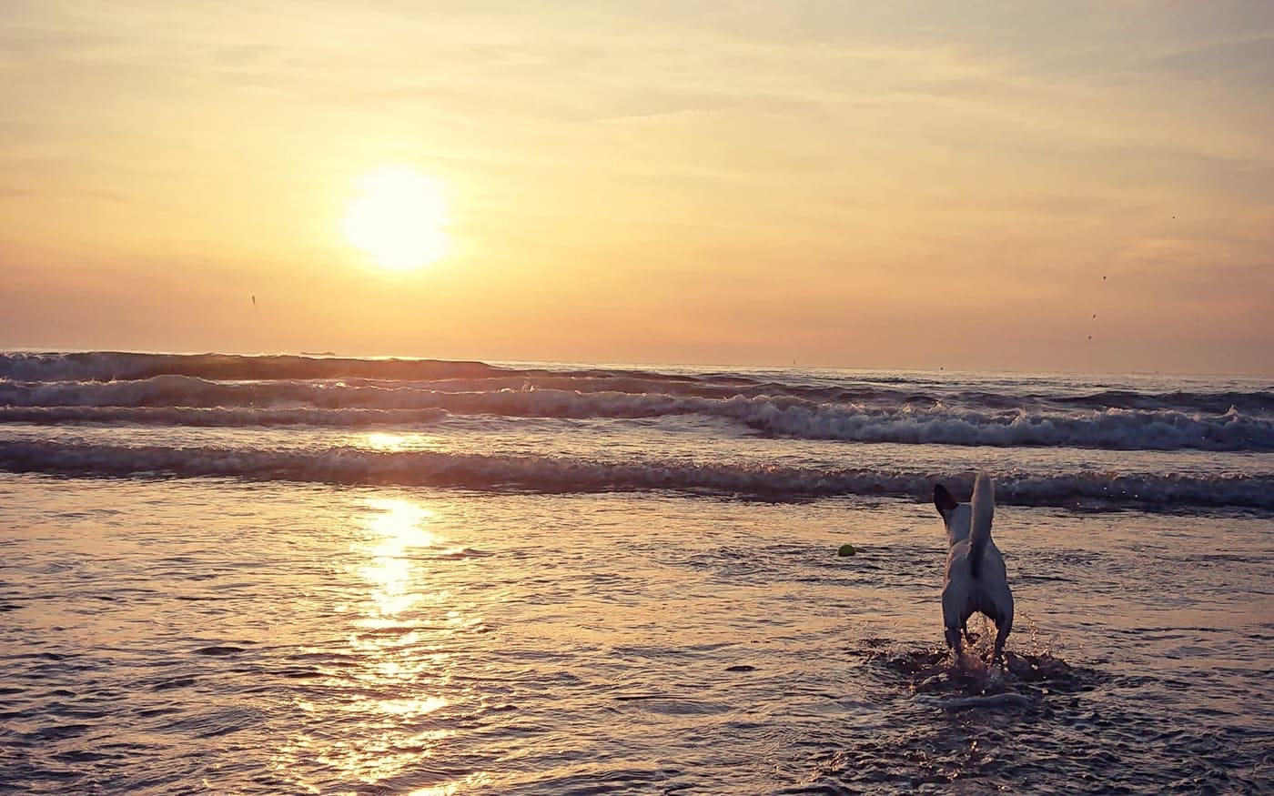 De zon zakt in zee; in het ondiepe water maakt iemand een handstand