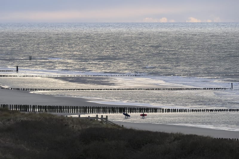 Rij houten paalhoofden die vanaf het strand de zee in loopt bij Domburg