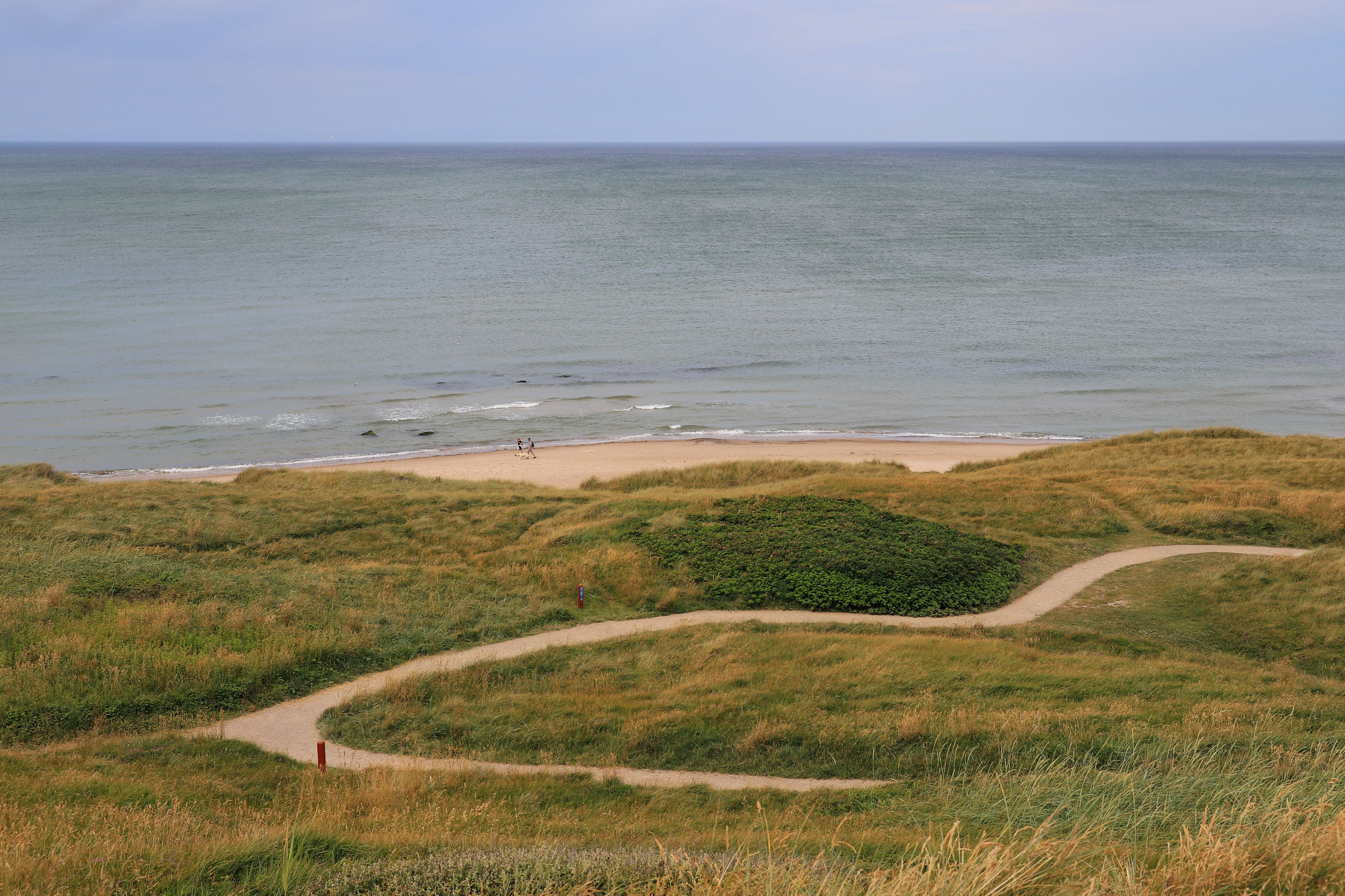 Zandpaden slingeren door begroeide duinen naar een breed strand en de zee.