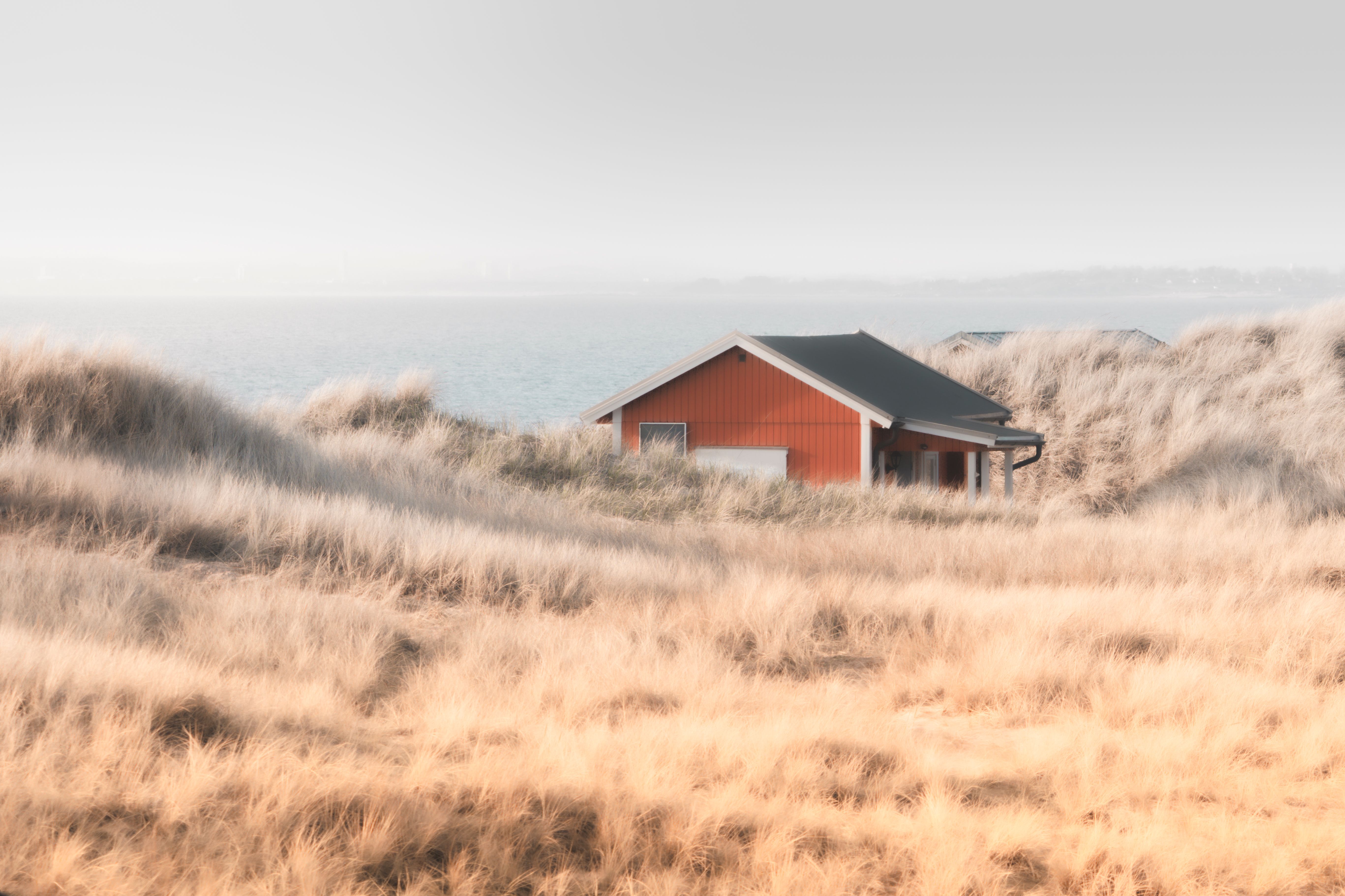 Een roodhouten vakantiehuis ligt beschut tussen goudkleurig duingras, met de zee erachter.