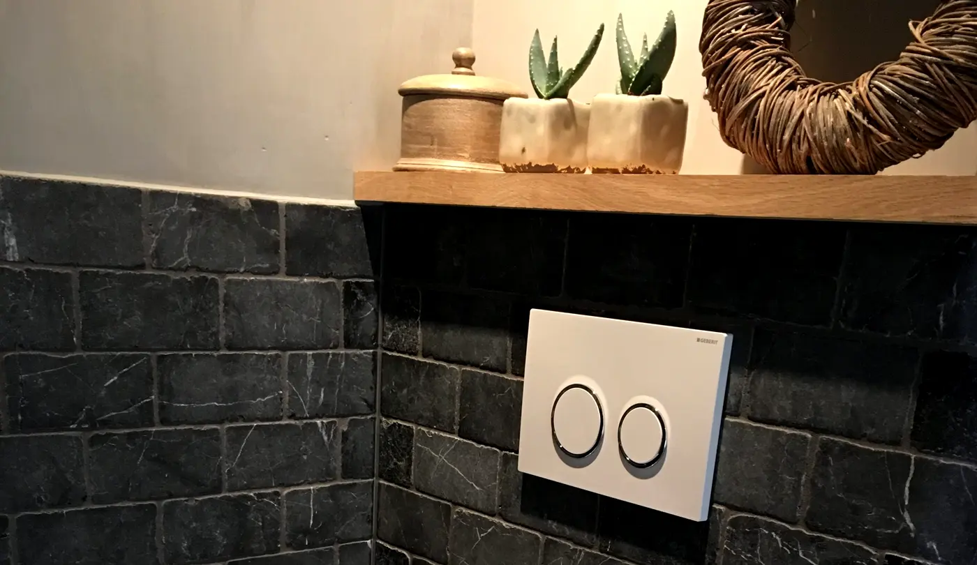Toilet met zwarte natuursteenstrips, een eiken plank met twee aloëplantjes en een wit spoelpaneel