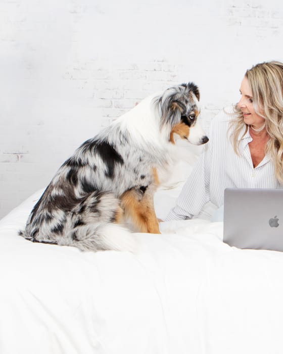 Vrouw met een laptop op een wit bed, met een Australian shepherd naast zich.