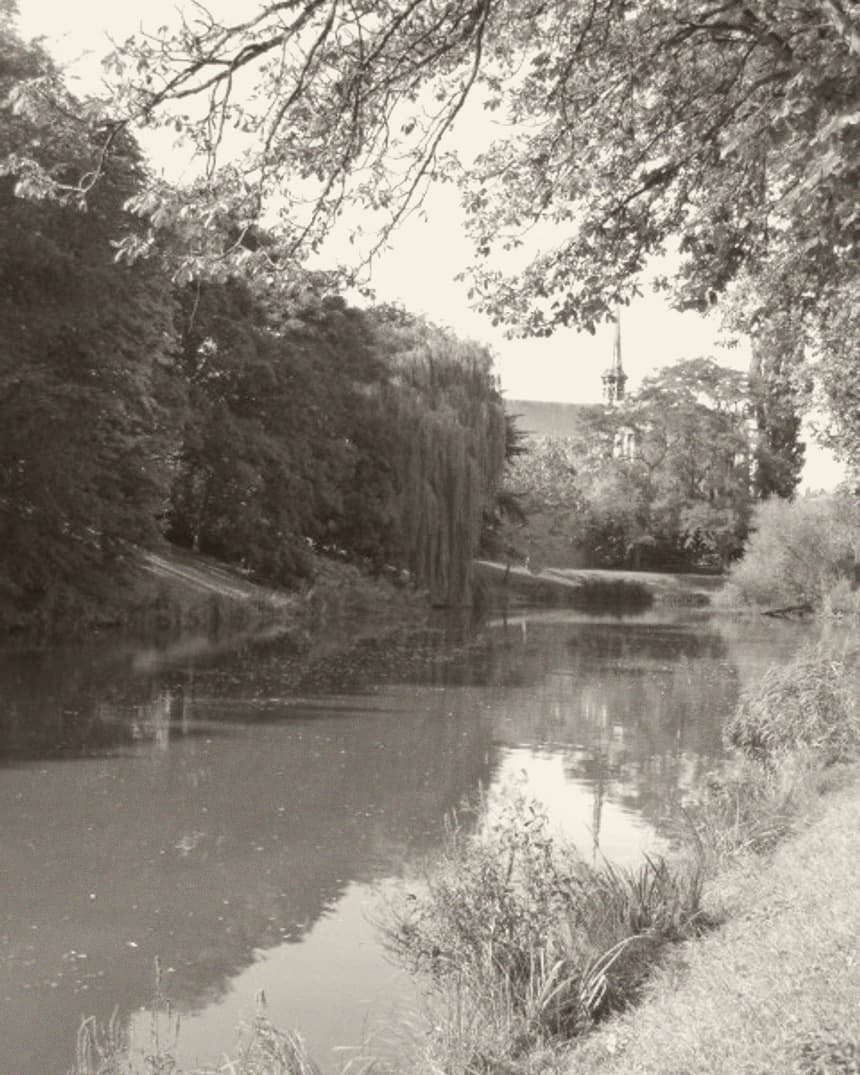 De Oostwal in Goes met water en een treurwilg