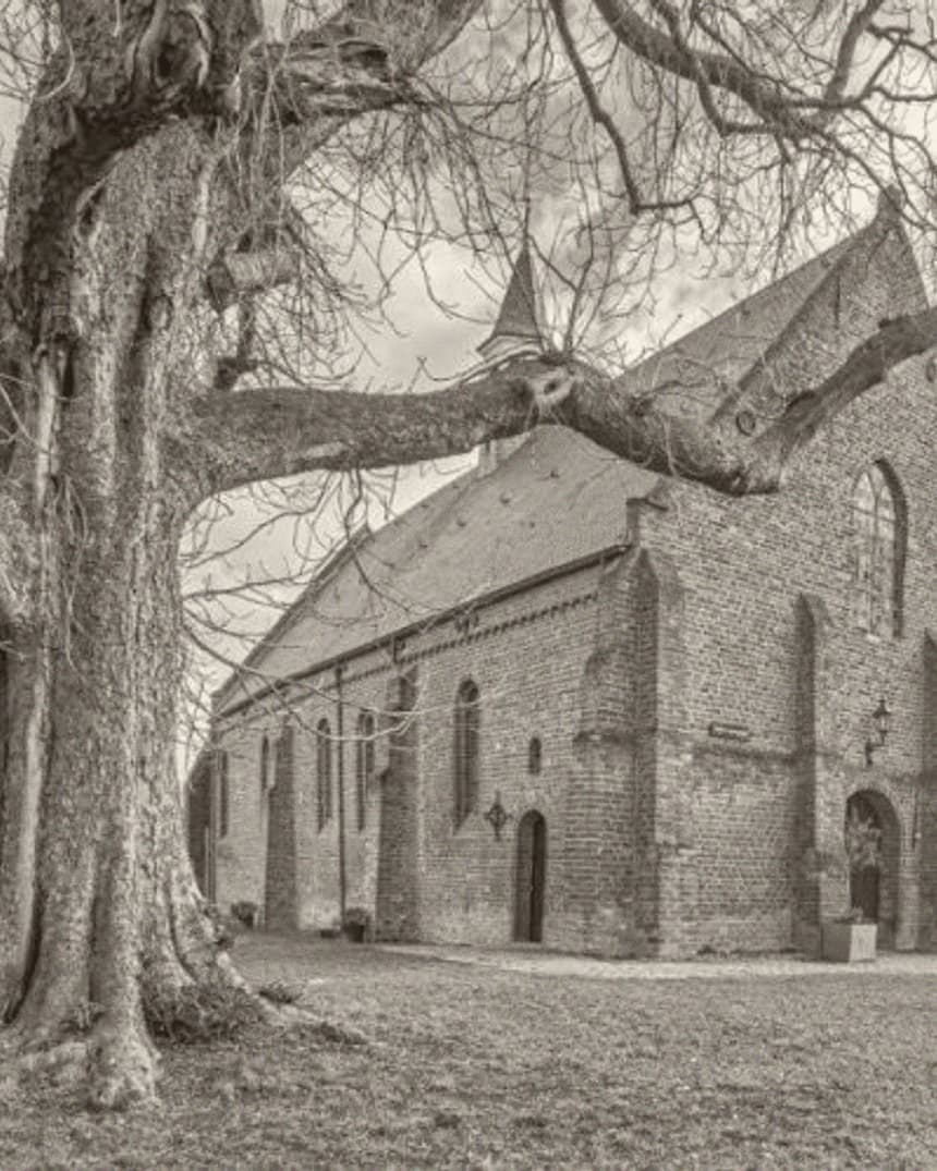 De kerk van Kloosterzande met een oude boom ervoor