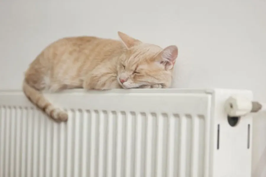 Een kat slaapt opgerold op een witte radiator tegen een lichte muur