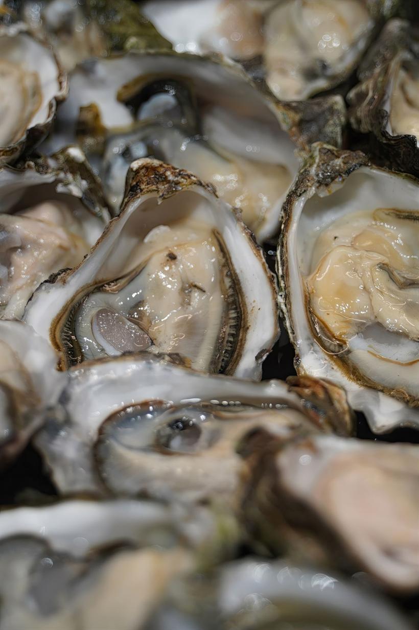 Oesters op ijs