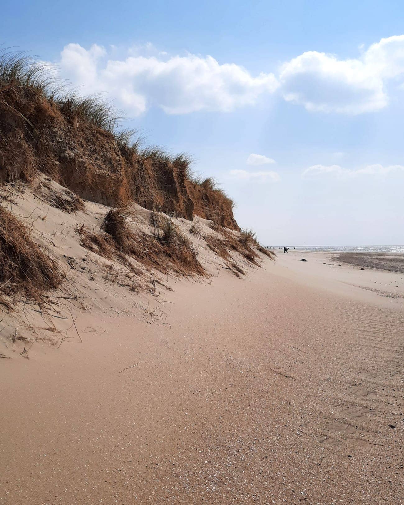 Leeg strand met duinrand aan de Noordzee