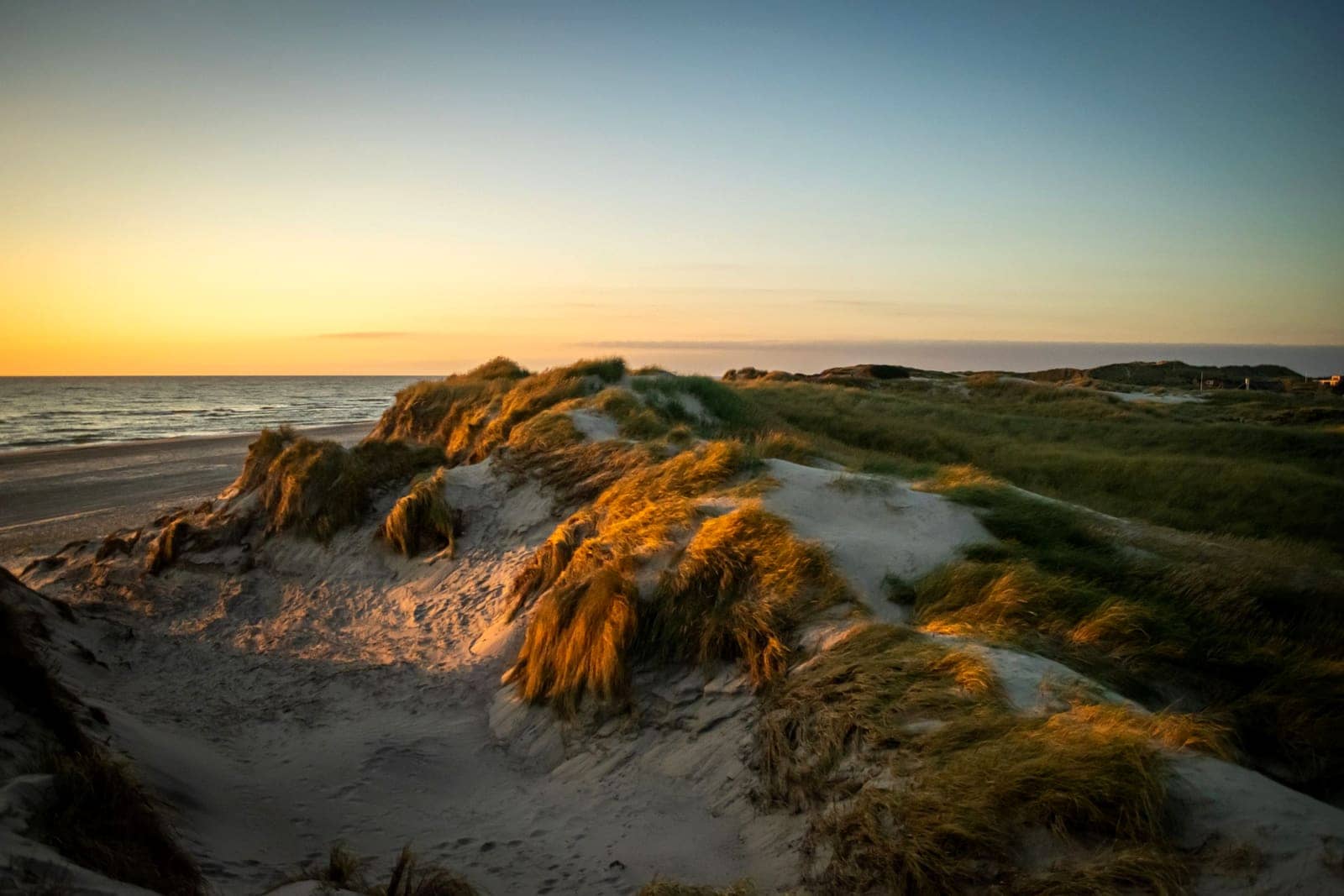 Duinen aan de Zeeuwse kust in het late licht
