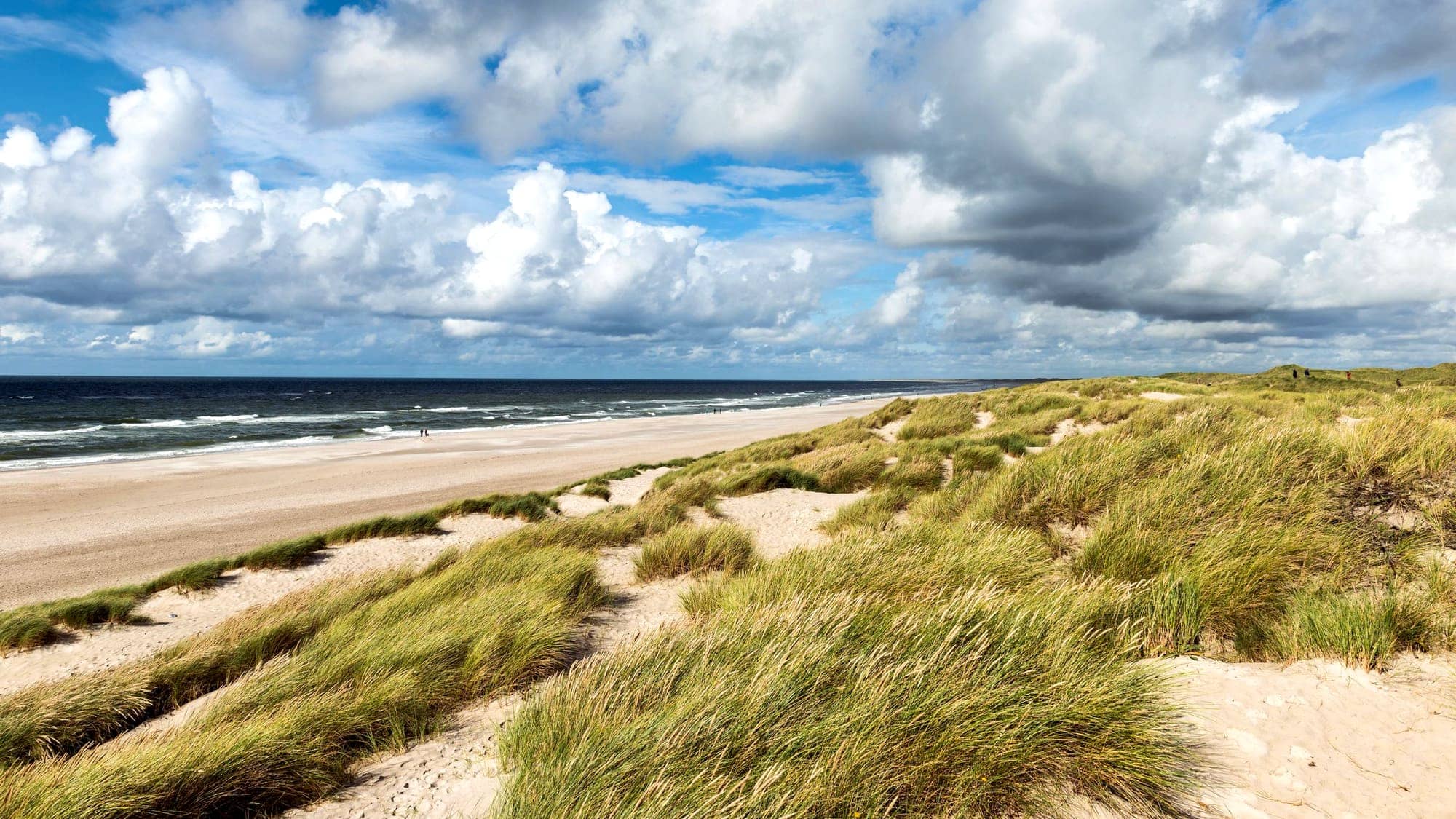 Duinen en strand aan de Noordzeekust bij Domburg