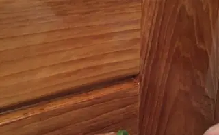 Detail van gelakt hout, waarin de nerf door de laag heen zichtbaar blijft.