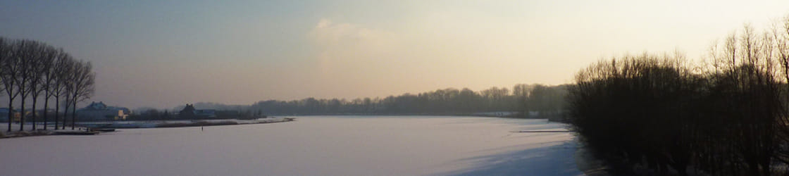 Een besneeuwde polder met een rij kale bomen langs het water