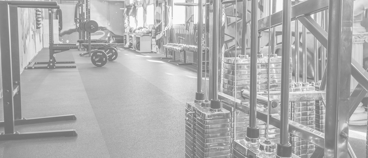 De volledige trainingsvloer van Sportbox Domburg met racks en krachtstations
